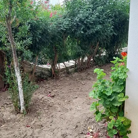 Daire Kale Manzaralı Yazlık Ev Bodrum